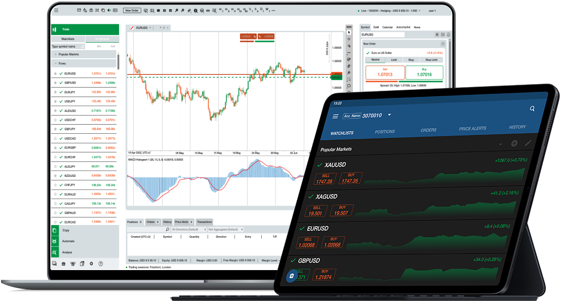 one_platform_N